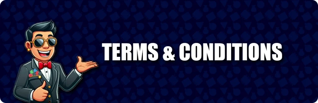 Terms And Conditions