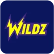 See our review of Wildz Casino