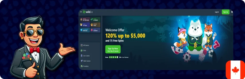Wild.io — 120% Up to $5,000 and 75 Free spins