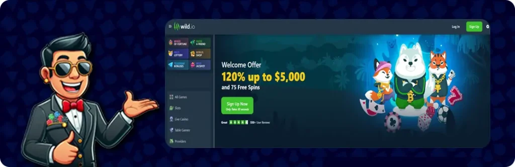 Wild.io — 120% Up To $5,000 And 75 Free Spins