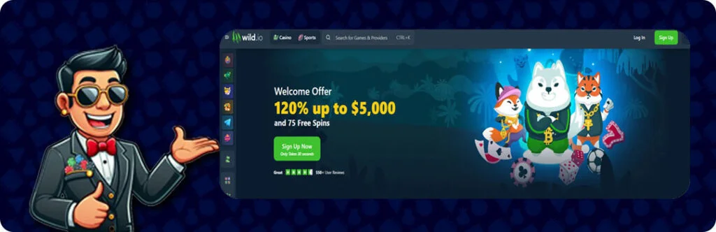 Wild.io — 120% Up To $5,000 And 75 Free Spins